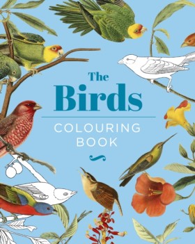 The Birds …