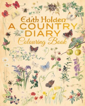 Edith Hold &hellip;