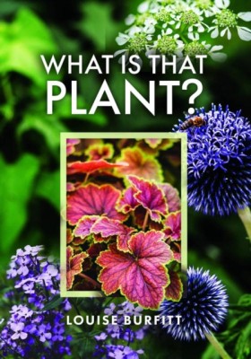 What is th &hellip;