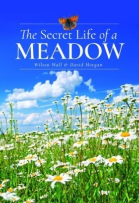The Secret &hellip;
