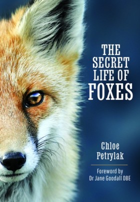 The Secret &hellip;