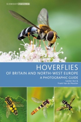 Hoverflies …
