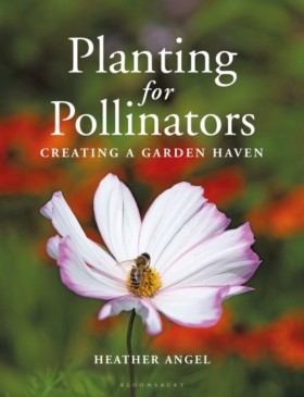 Planting f …