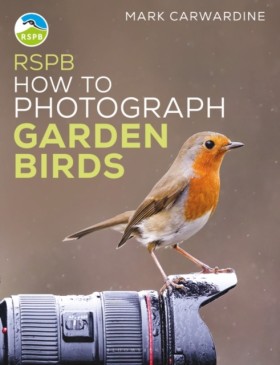 RSPB How t &hellip;