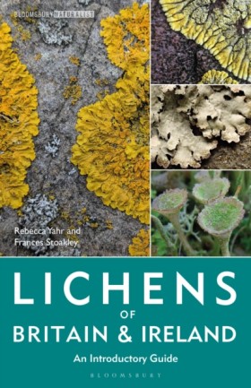 Lichens of …
