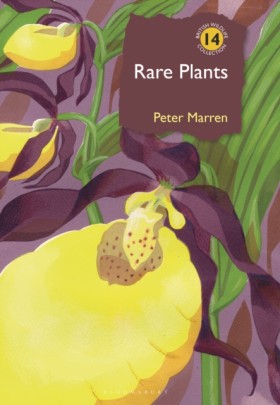 Rare Plant &hellip;