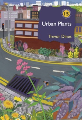 Urban Plan …