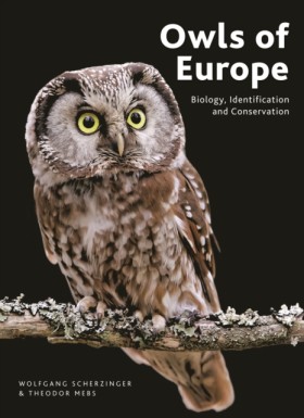 Owls of Eu …