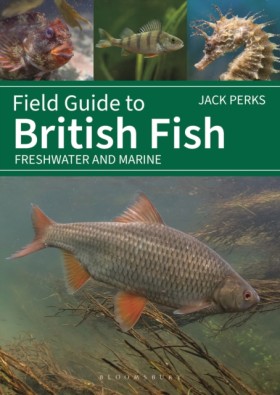 Field Guid &hellip;