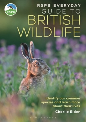 RSPB Every …