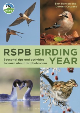 RSPB Birdi …