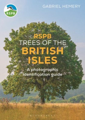 RSPB Trees …