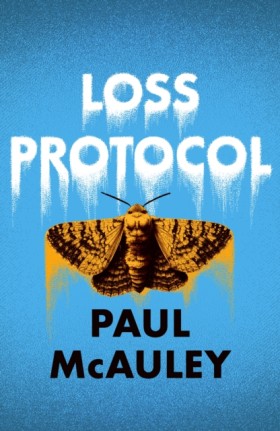 Loss Proto …