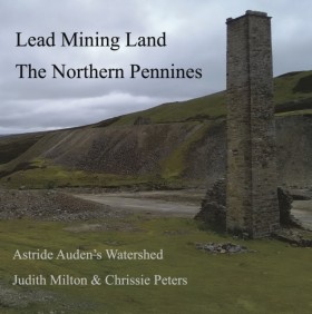 Lead Minin &hellip;