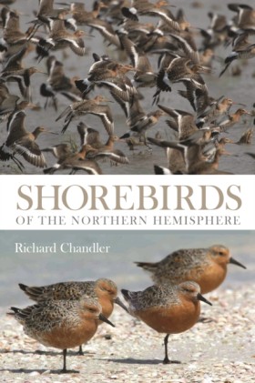 Shorebirds &hellip;