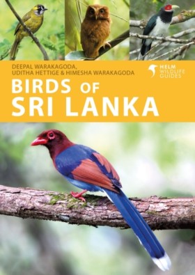 Birds of S &hellip;