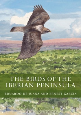 The Birds &hellip;
