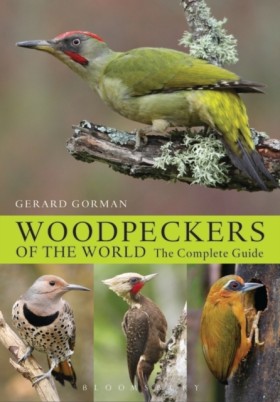 Woodpecker &hellip;