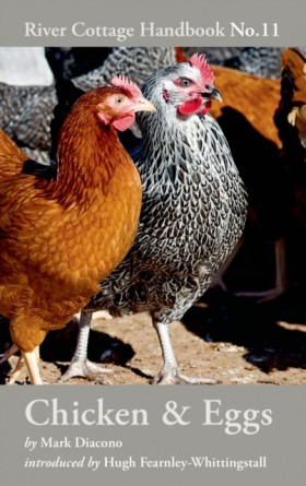 Chicken & &hellip;