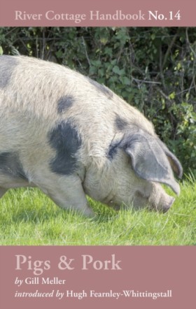 Pigs & Por &hellip;