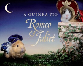 A Guinea P …