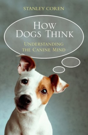 How Dogs T …