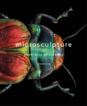 Microsculp &hellip;