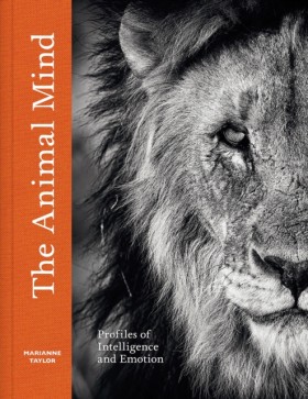 The Animal …