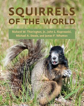 Squirrels &hellip;