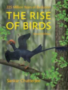 The Rise o …