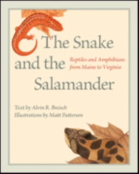 The Snake &hellip;