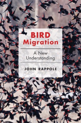 Bird Migra …