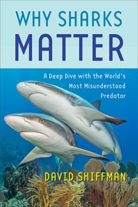 Why Sharks &hellip;