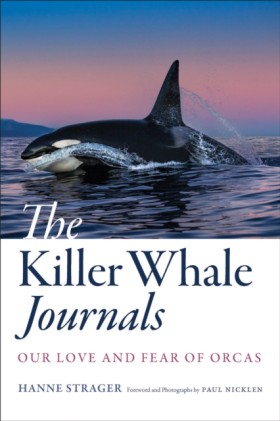 The Killer …