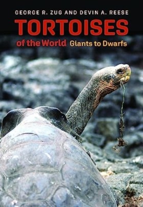 Tortoises &hellip;