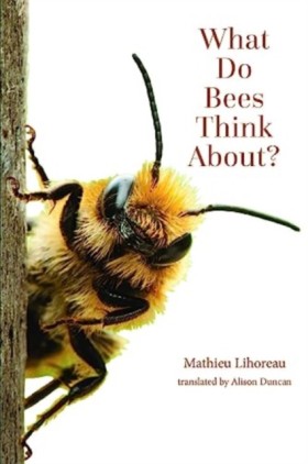 What Do Be …