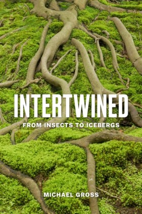 Intertwine …