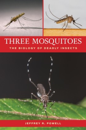 Three Mosq &hellip;