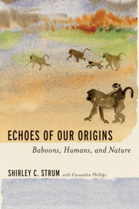 Echoes of …