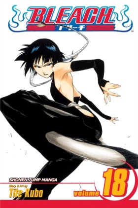 Bleach, Vo …