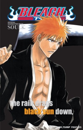 Bleach SOU …