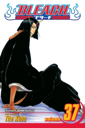 Bleach, Vo …