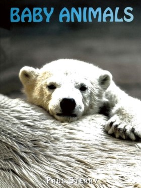 Animals in &hellip;