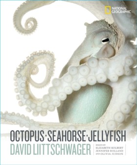 Octopus, S &hellip;