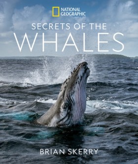 Secrets of &hellip;
