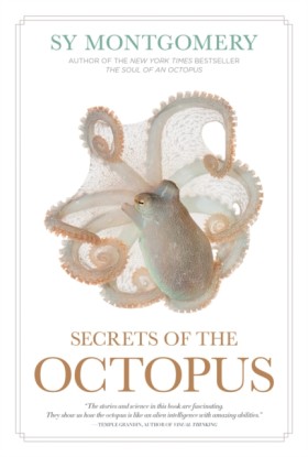 Secrets of …