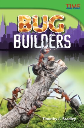 Bug Builde …