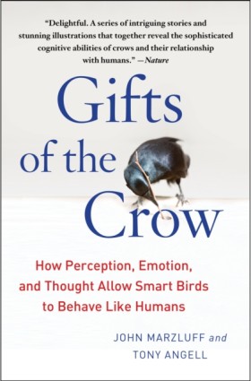 Gifts of t &hellip;