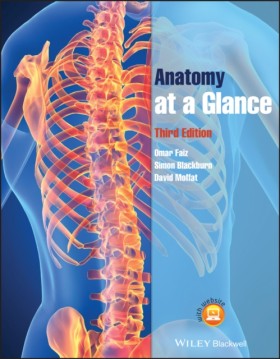 Anatomy at &hellip;