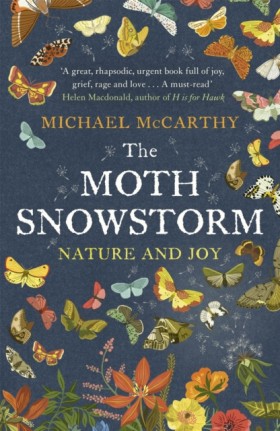 The Moth S &hellip;